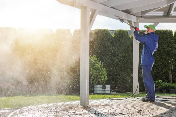 Boat and Dock Cleaning in Grass Lake, MI