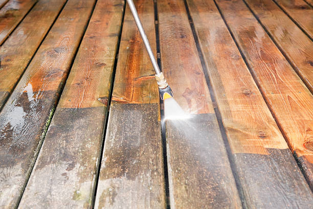 Best Soft Washing  in Grass Lake, MI
